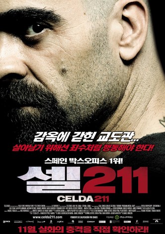 셀 211