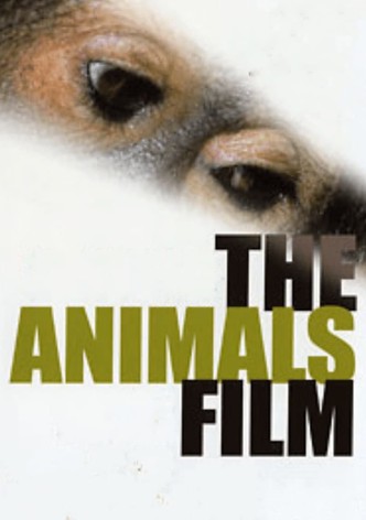 The Animals Film