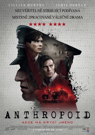 Anthropoid