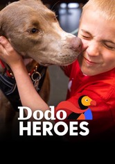 Dodo Heroes - Kausi 2