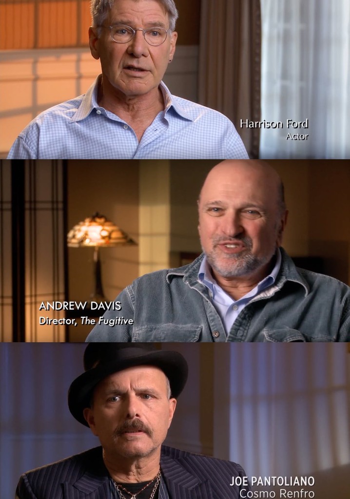 The Fugitive: Thrill of the Chase