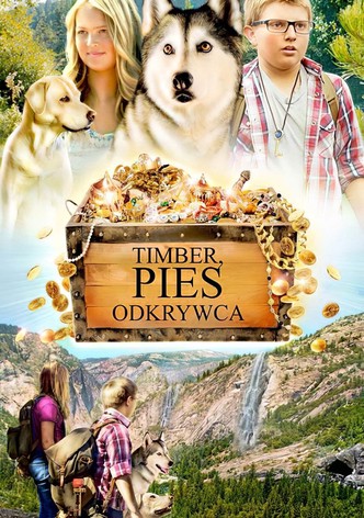 Timber, pies-odkrywca