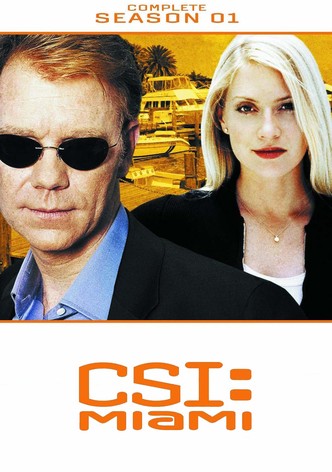 CSI:マイアミ TV ドラマ 動画配信 オンライン 視聴
