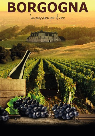 Borgogna - La passione per il vino