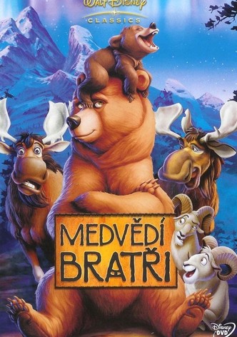 Medvědí bratři