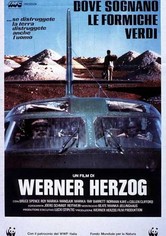 Dove sognano le formiche verdi