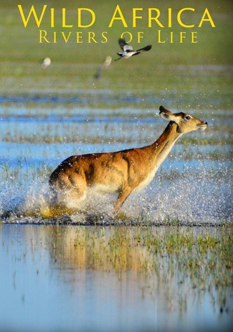 Wild Africa: Rivers of Life