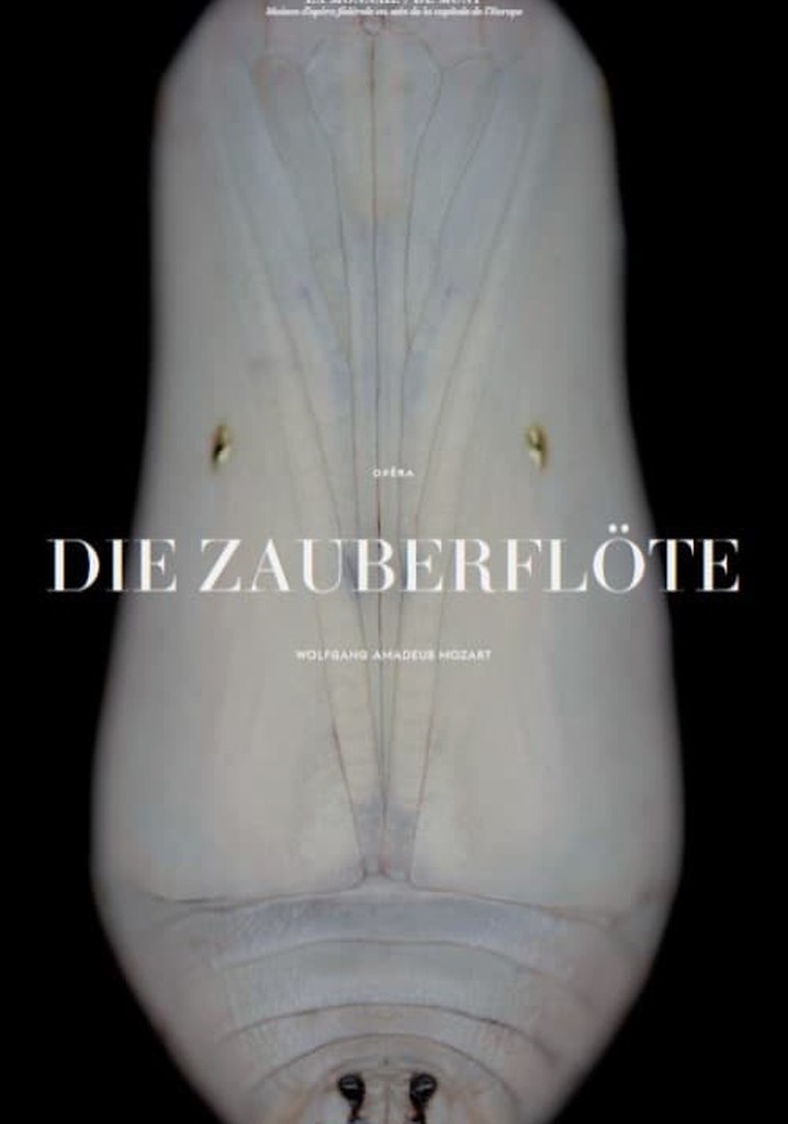 Mozart: Die Zauberflöte