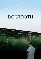 Dogtooth