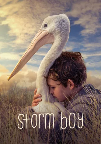 Storm Boy poster