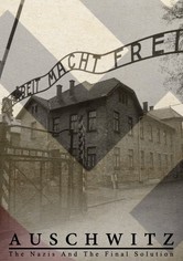 Auschwitz: The Nazis and the Final Solution