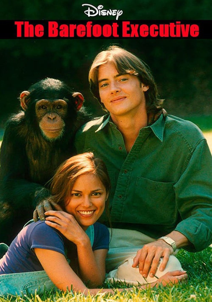 The Barefoot Executive