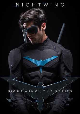 Nightwing: The Series