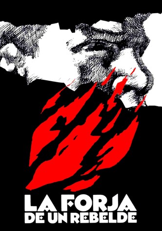 La forja de un rebelde