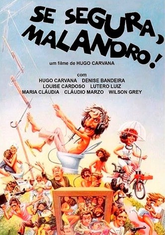 Se Segura, Malandro!
