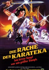 Die Rache des Karateka