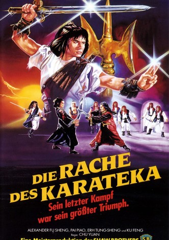 Die Rache des Karateka