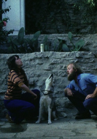 Sleeping Dogs (Never Lie)