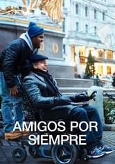 The Upside (Amigos para siempre)