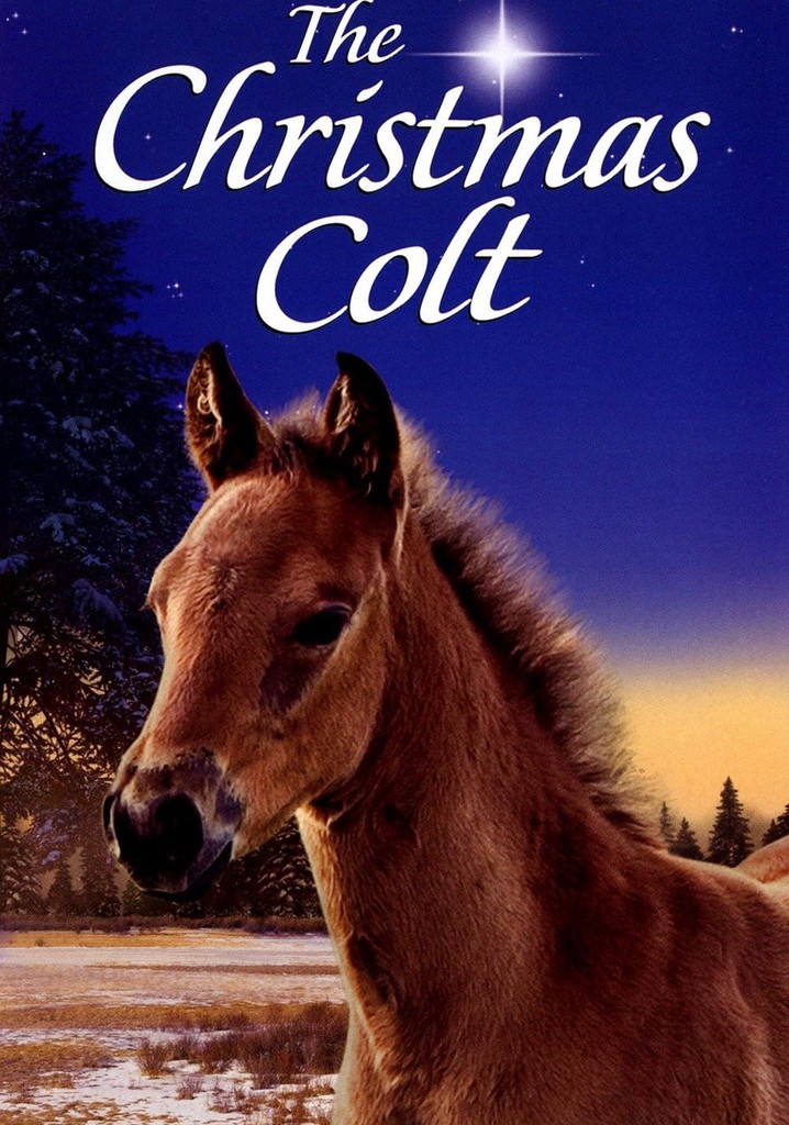 The Christmas Colt