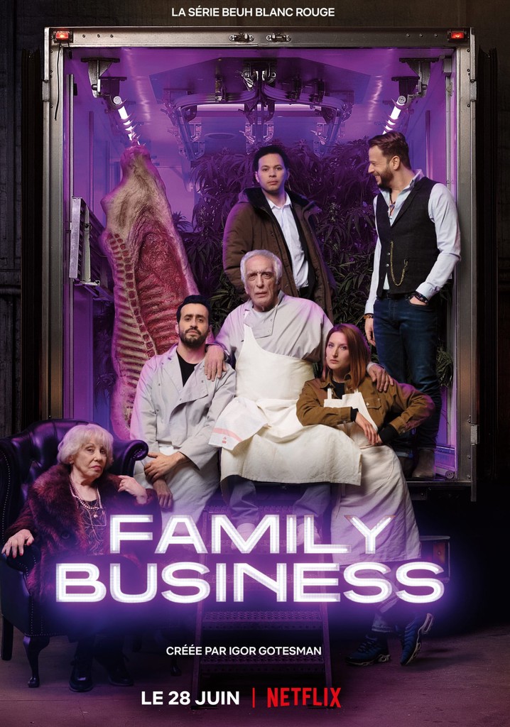 regarder-la-s-rie-family-business-streaming