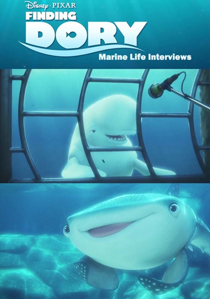 Marine Life Interviews