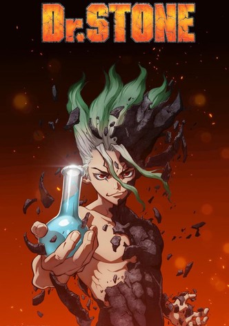 Dr. STONE