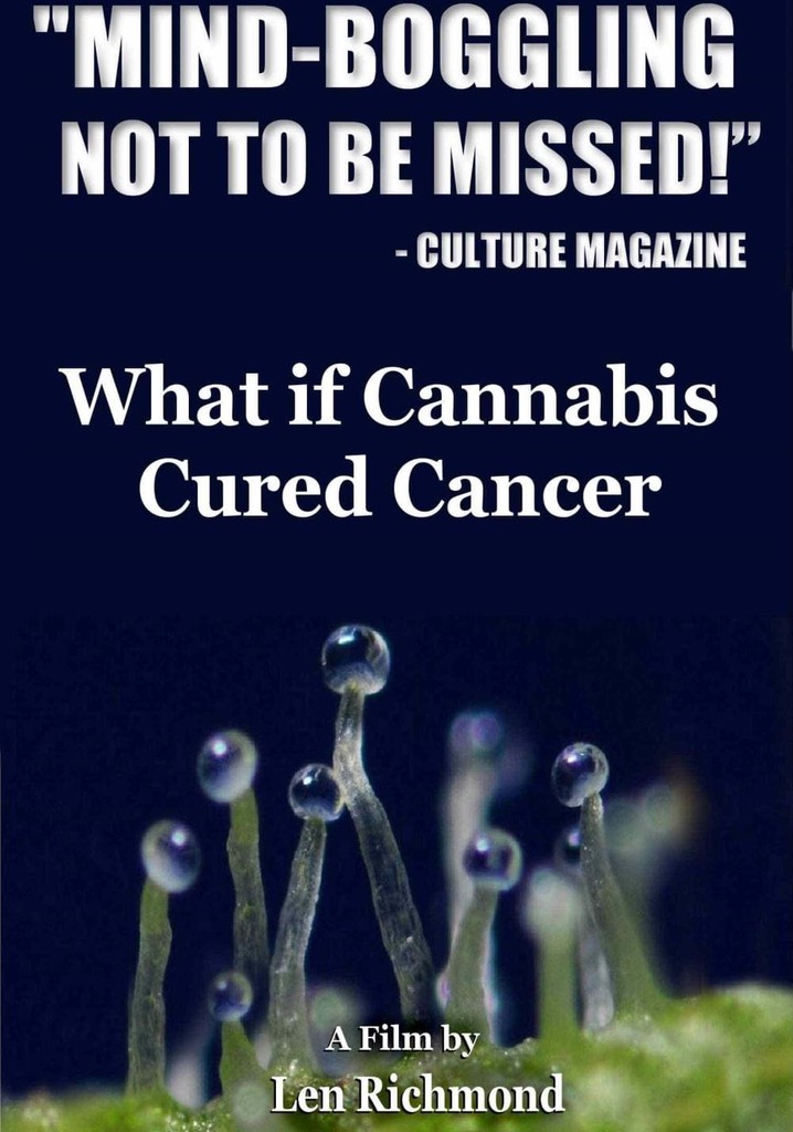 What If Cannabis Cured Cancer