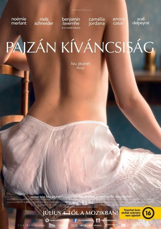 Pajzán kíváncsiság