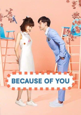 Because of You - streaming tv show online