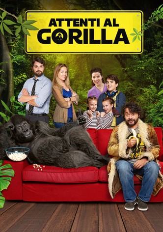 Attenti al gorilla