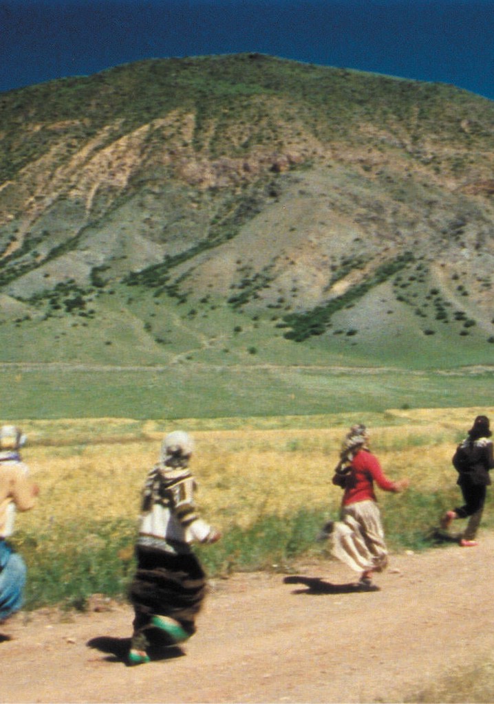 Yolcularin gece sarkisi