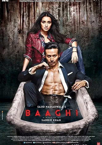 Baaghi poster