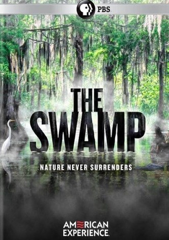 The Swamp