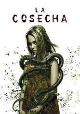 La cosecha