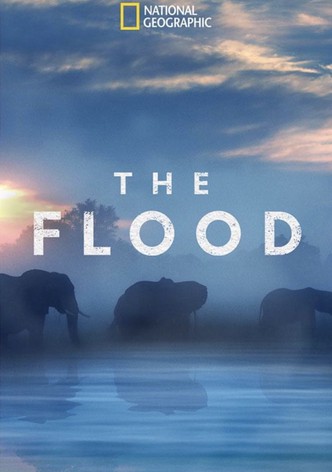 The Flood