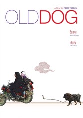Old Dog