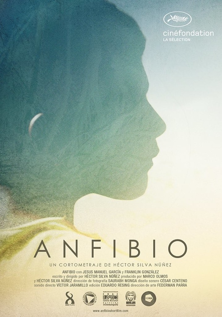 Anfibio