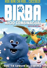 Birba - Micio combinaguai