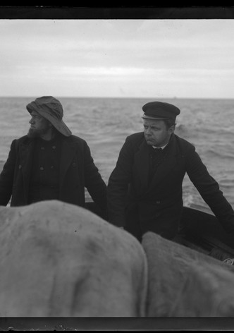 The Sea Vultures