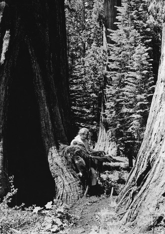 The Broken Commandments