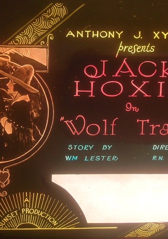 Wolf Tracks