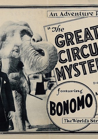 The Great Circus Mystery