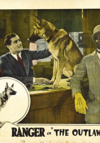The Outlaw Dog