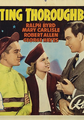 Fighting Thoroughbreds