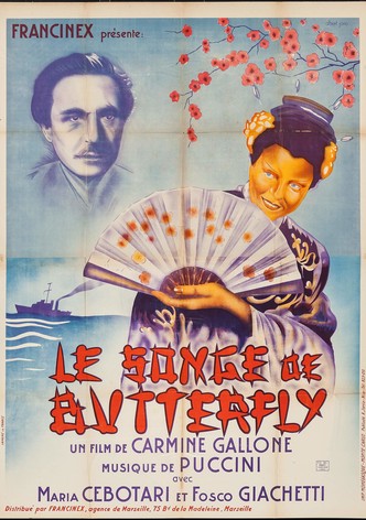 The Dream of Butterfly