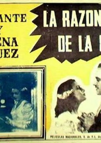 La razón de la culpa