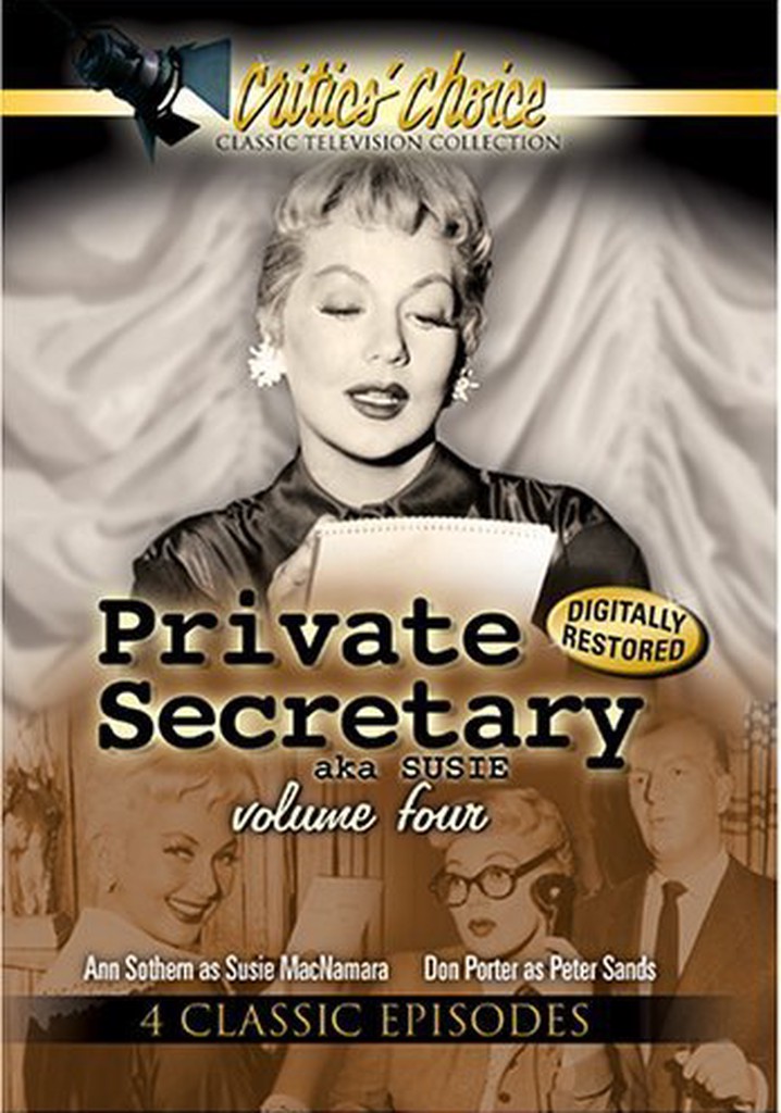 Private Secretary - streaming tv show online