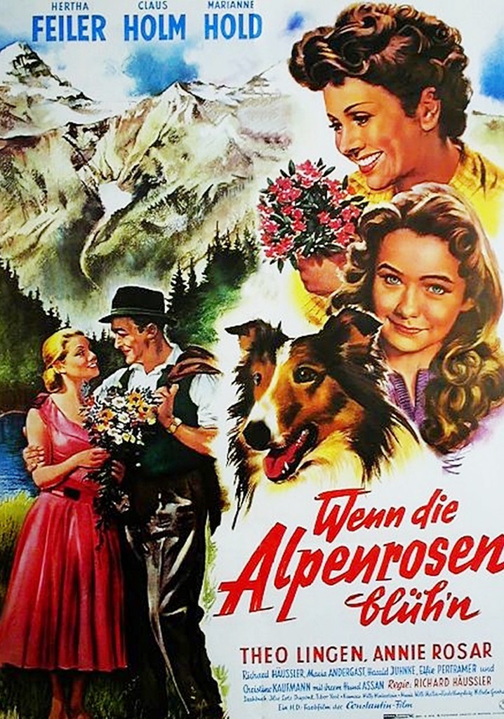 Wenn die Alpenrosen blüh'n Stream Jetzt online anschauen