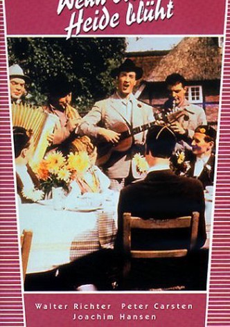 Wenn die Heide blüht